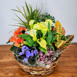 Blooming Garden of Joy Basket