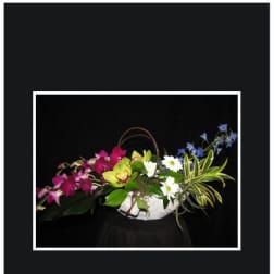Mixed orchid arrangement in a white bowl with a handle
