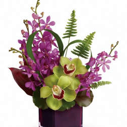 Orchid Paradise Cube