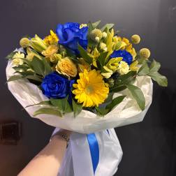Golden Blue Harmony