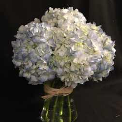 Blue and white hydrangea bouquet in a glass vase