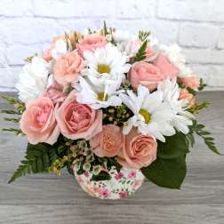 Daisy Garden