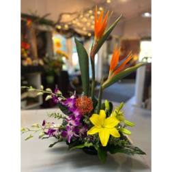 Elyasian Blooms