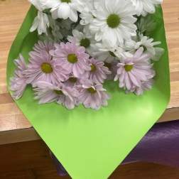 Bouquet of white and pale pink daisies wrapped in bright green paper