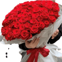 Large bouquet of red roses wrapped in white paper with a red ribbon