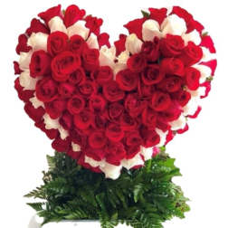 Heart-shaped red and white rose arrangement on a green base