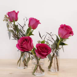Pink roses in small clear glass vases on a wooden surface