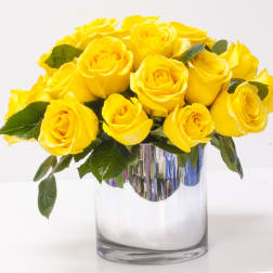 Mellow Yellow Rose
