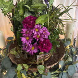 10" Dish Garden