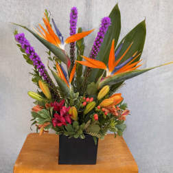 Tropical flower arrangement in a black square vase with orange bird-of-paradise blooms