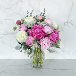 Pink and white peonies in a clear glass vase
