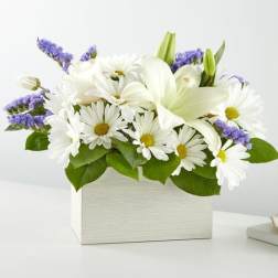 White daisies and lilies in a white box with purple accents