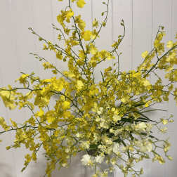 Yellow and white orchid arrangement in a white vase