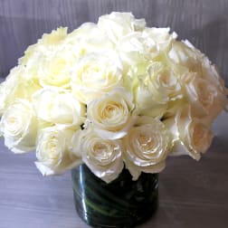 Two Dozen White Roses