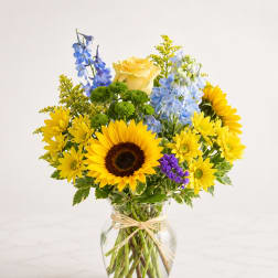 Golden Sunshine Garden™
