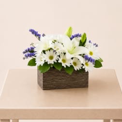 White Lily & Daisy Harmony Box