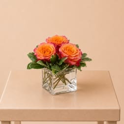 Three orange-pink roses in a clear square glass vase