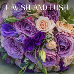 Lavish and Lush
