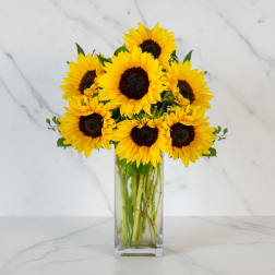 Bouquet of yellow sunflowers in a clear glass vase
