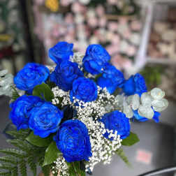 Bouquet of vivid blue roses with white filler flowers and greenery