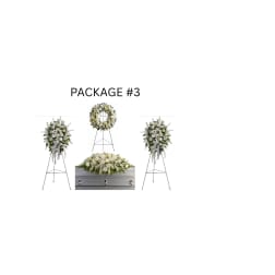 PACKAGE #3