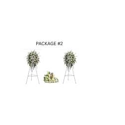 PACKAGE #2