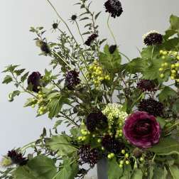 Dark purple flowers and green berries in a gray vase