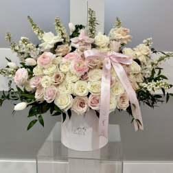 Blush Couture- XL Box