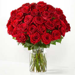 Bouquet of red roses in a clear glass vase