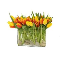 Tulip Couture