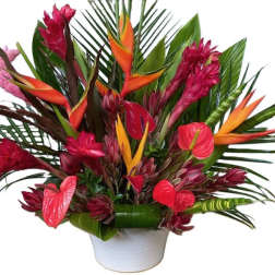 Tropical Delight