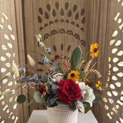 Desert Dreamcatcher