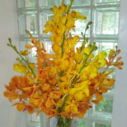 Tall yellow and orange orchid arrangement in a clear glass vase