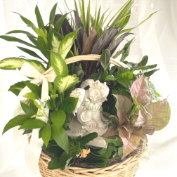 Sympathy Garden Basket