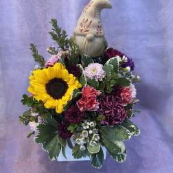 Love of Gnomes