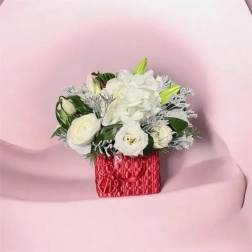 Luxury Purse Inspired By Dior