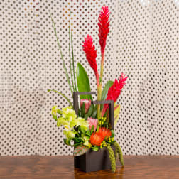 Tropical floral arrangement with red and green blooms in a black container