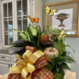 The Legacy Dish Garden