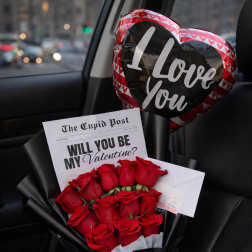 Propuesta V-Day