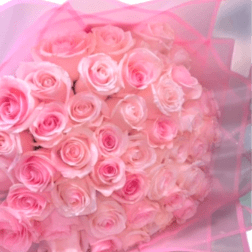 Blush Dreams Rose Bouquet