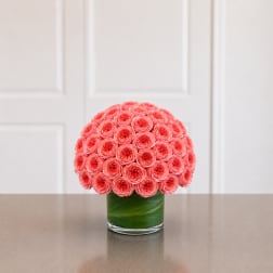 Luxe rose ball 50 roses