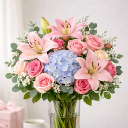 Blush Elegance