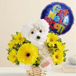 White flower dog arrangement with yellow daisies and a "Get Well Soon" balloon