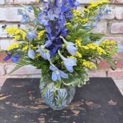 Delphinium Daze