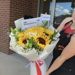 Bouquet of sunflowers with white filler flowers wrapped in white paper