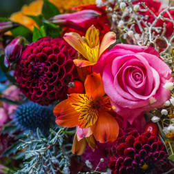 Multi-Color Designer's Choice Arrangement