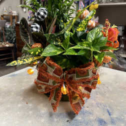 Potted foliage arrangement with a large autumn ribbon and decorative lights