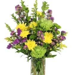 Cheerful Jubilee