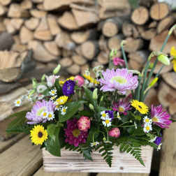 Picnic Box