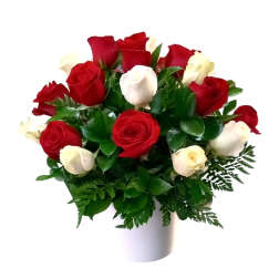 Bouquet of red and white roses in a white vase